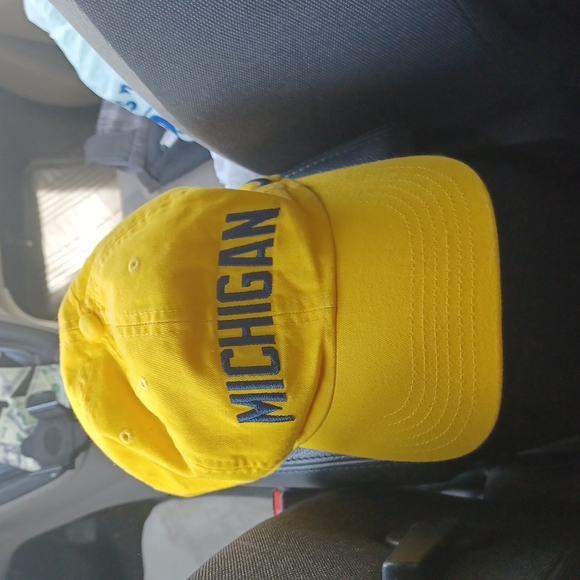 Nike Other - Michigan State Hat nike